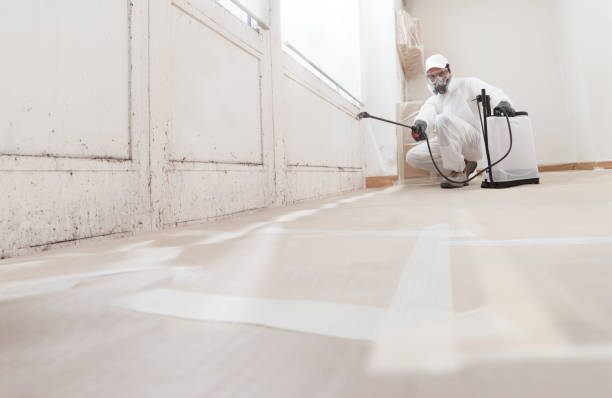 24/7 Emergency Mold Removal experts in Springfield, MA